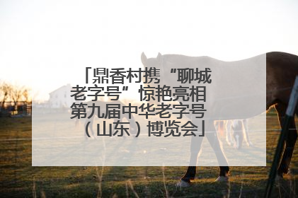 鼎香村携“聊城老字号”惊艳亮相第九届中华老字号（山东）博览会