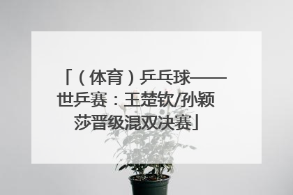 （体育）乒乓球——世乒赛：王楚钦/孙颖莎晋级混双决赛