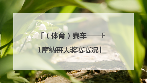 （体育）赛车——F1摩纳哥大奖赛赛况