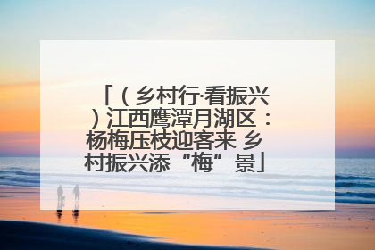 （乡村行·看振兴）江西鹰潭月湖区：杨梅压枝迎客来 乡村振兴添“梅”景