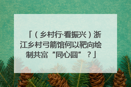 （乡村行·看振兴）浙江乡村弓箭馆何以靶向绘制共富“同心圆”？