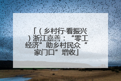 （乡村行·看振兴）浙江嘉善：“零工经济”助乡村民众“家门口”增收