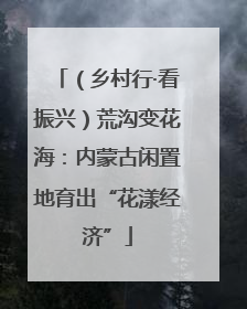 （乡村行·看振兴）荒沟变花海：内蒙古闲置地育出“花漾经济”