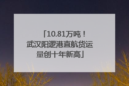 10.81万吨！武汉阳逻港直航货运量创十年新高