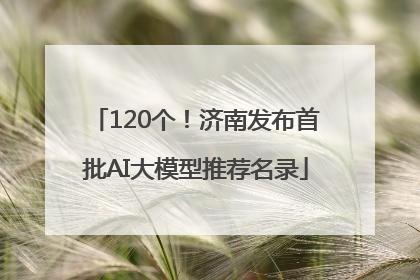 120个！济南发布首批AI大模型推荐名录