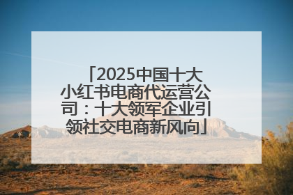2025中国十大小红书电商代运营公司：十大领军企业引领社交电商新风向