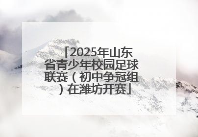 2025年山东省青少年校园足球联赛（初中争冠组）在潍坊开赛