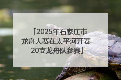 2025年石家庄市龙舟大赛在太平河开赛 20支龙舟队参赛