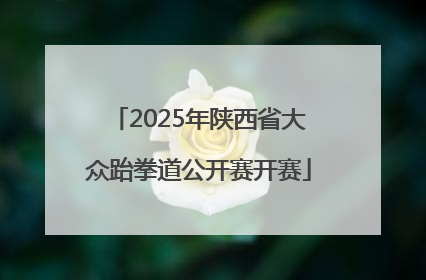 2025年陕西省大众跆拳道公开赛开赛
