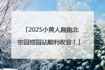 2025小黄人趣跑北京园博园站顺利收官！