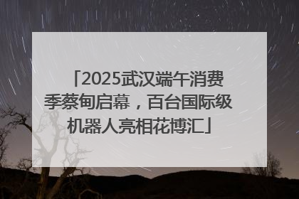 2025武汉端午消费季蔡甸启幕，百台国际级机器人亮相花博汇