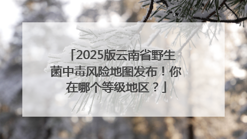2025版云南省野生菌中毒风险地图发布！你在哪个等级地区？