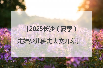 2025长沙（夏季）走娃少儿健走大赛开幕