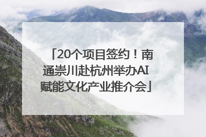 20个项目签约！南通崇川赴杭州举办AI赋能文化产业推介会