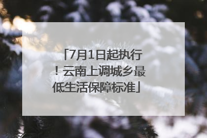 7月1日起执行！云南上调城乡最低生活保障标准