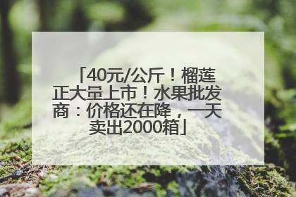 40元/公斤！榴莲正大量上市！水果批发商：价格还在降，一天卖出2000箱