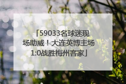 59033名球迷现场助威！大连英博主场1:0战胜梅州客家