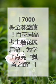 7000株金葵盛放！百花园高考主题花展启幕，为学子点亮“魁首之路”