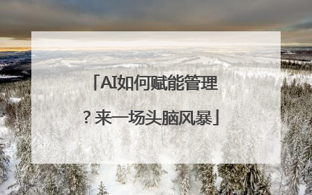 AI如何赋能管理？来一场头脑风暴