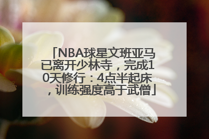 NBA球星文班亚马已离开少林寺，完成10天修行：4点半起床，训练强度高于武僧