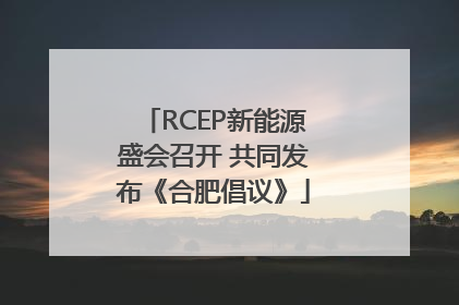 RCEP新能源盛会召开 共同发布《合肥倡议》